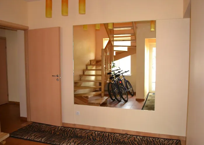 Evelina Druskininkai